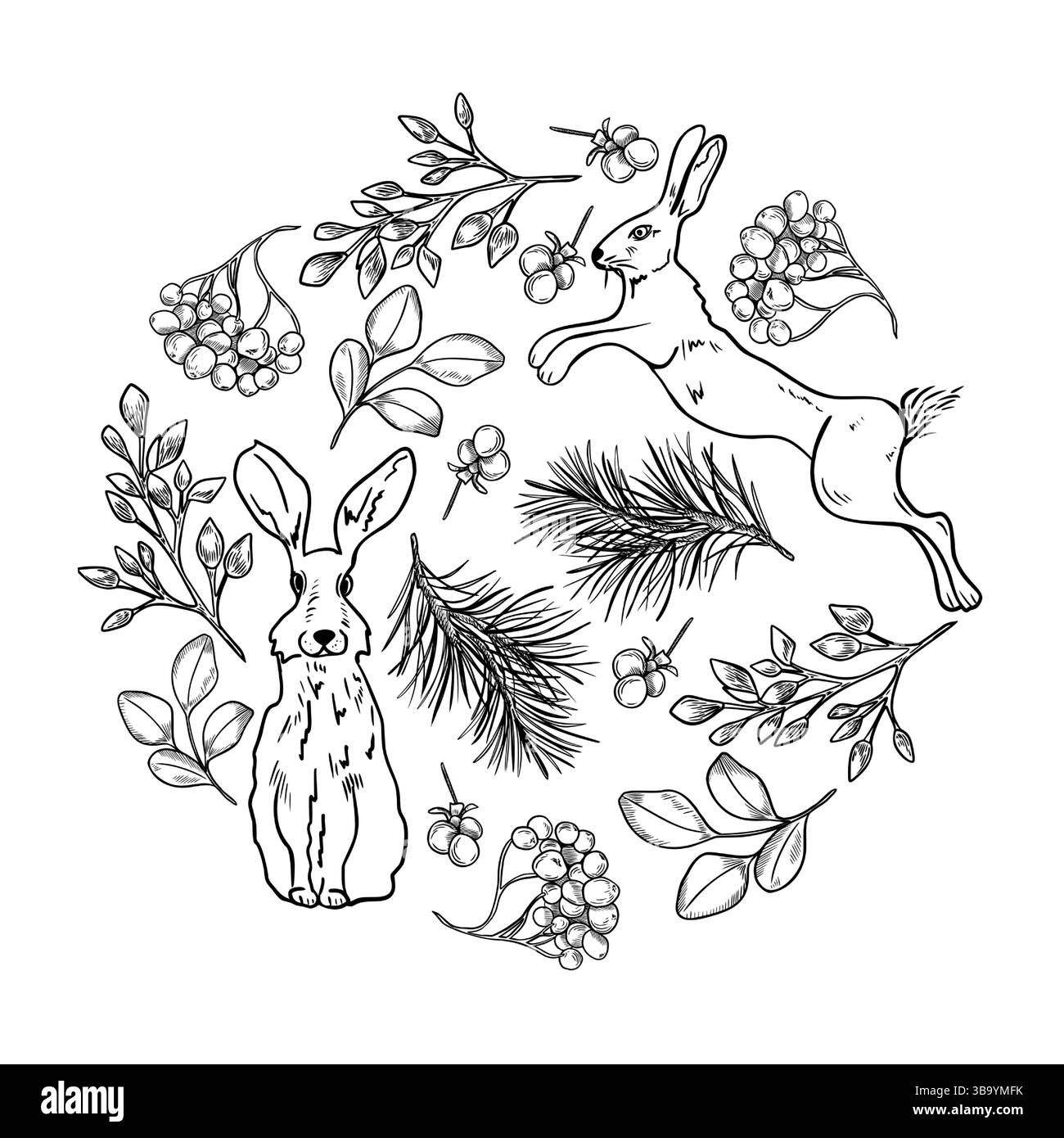 Plantes d'hiver en cercle avec des lièvres, des baies de rowan, du gui et des branches de pin tracées à la main vecteur de contour blanc noir. Dessin au trait de la flore des bois Illustration de Vecteur Plantes d'hiver en cercle avec des lièvres, des baies de rowan, du gui et des branches de pin tracées à la main vecteur de contour blanc noir. Dessin au trait de la flore des bois Illustration de Vecteur
