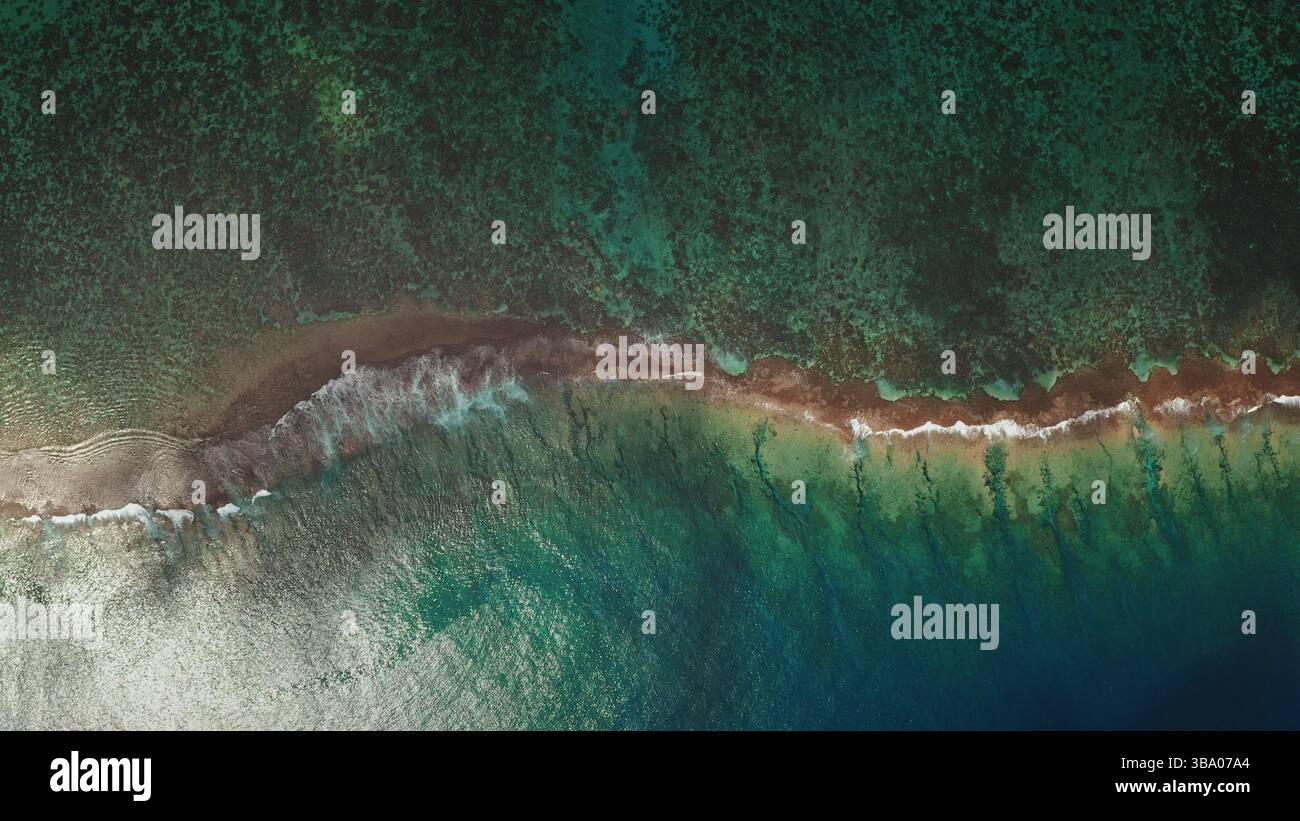 Vue aérienne époustouflante d'un écosystème de récifs coralliens vivant bordant l'océan bleu profond, mettant en valeur la beauté et la diversité de l'environnement marin de Tahiti Banque D'Images