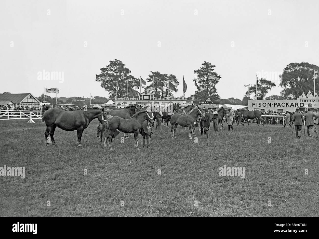 Les chevaux occupent le devant de la scène dans l'arène au Royal Agricultural Show 1934 à Ipswich, Suffolk, Angleterre, Royaume-Uni. Parmi les stands commerciaux en arrière-plan, on trouve ceux de Fison Packard Fertilizer et Cooper McDougal et Robertson. Le Royal Agricultural Show (RAS) a lieu chaque année dans un lieu différent à travers l'Angleterre, et du 3 au 7 juillet 1934, Chantry Park, à Ipswich, a accueilli l'événement. Le salon a été un grand succès avec les entreprises qui avaient pris de la place sur le salon (il y avait près d'un millier de stands commerciaux) - une photographie vintage des années 1930. Banque D'Images Les chevaux occupent le devant de la scène dans l'arène au Royal Agricultural Show 1934 à Ipswich, Suffolk, Angleterre, Royaume-Uni. Parmi les stands commerciaux en arrière-plan, on trouve ceux de Fison Packard Fertilizer et Cooper McDougal et Robertson. Le Royal Agricultural Show (RAS) a lieu chaque année dans un lieu différent à travers l'Angleterre, et du 3 au 7 juillet 1934, Chantry Park, à Ipswich, a accueilli l'événement. Le salon a été un grand succès avec les entreprises qui avaient pris de la place sur le salon (il y avait près d'un millier de stands commerciaux) - une photographie vintage des années 1930. Banque D'Images
