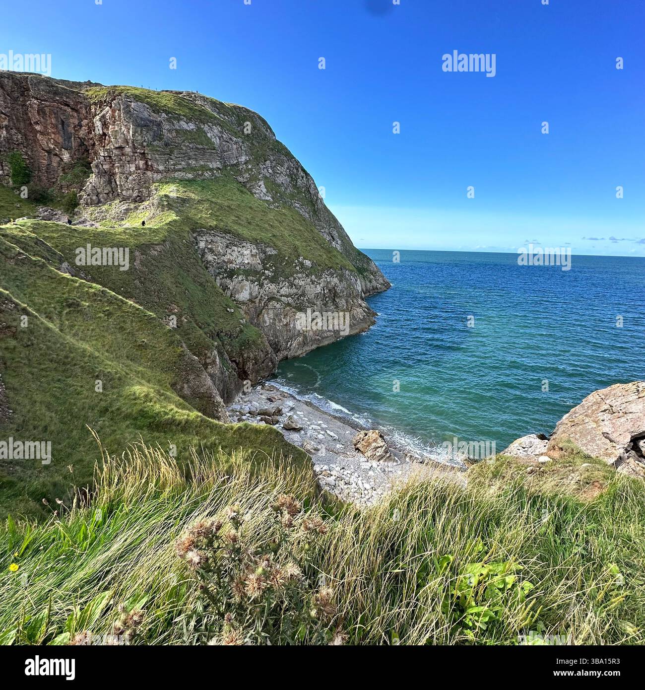 Vue sur Angel Bay (Porth Dyniewaid) sur la Little Orme, au nord du pays de Galles, avec une mer calme, un ciel bleu et des falaises verdoyantes par temps clair - Image de stock capturée avec un smartphone