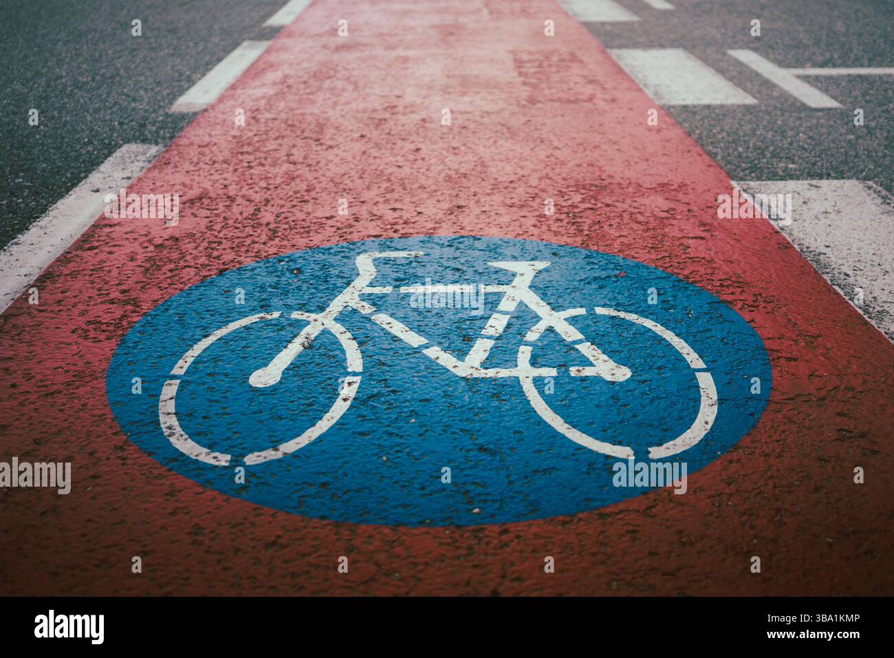 Panneau de signalisation de piste cyclable, graphiques et détails de l'asphalte vue rapprochée. Banque D'Images