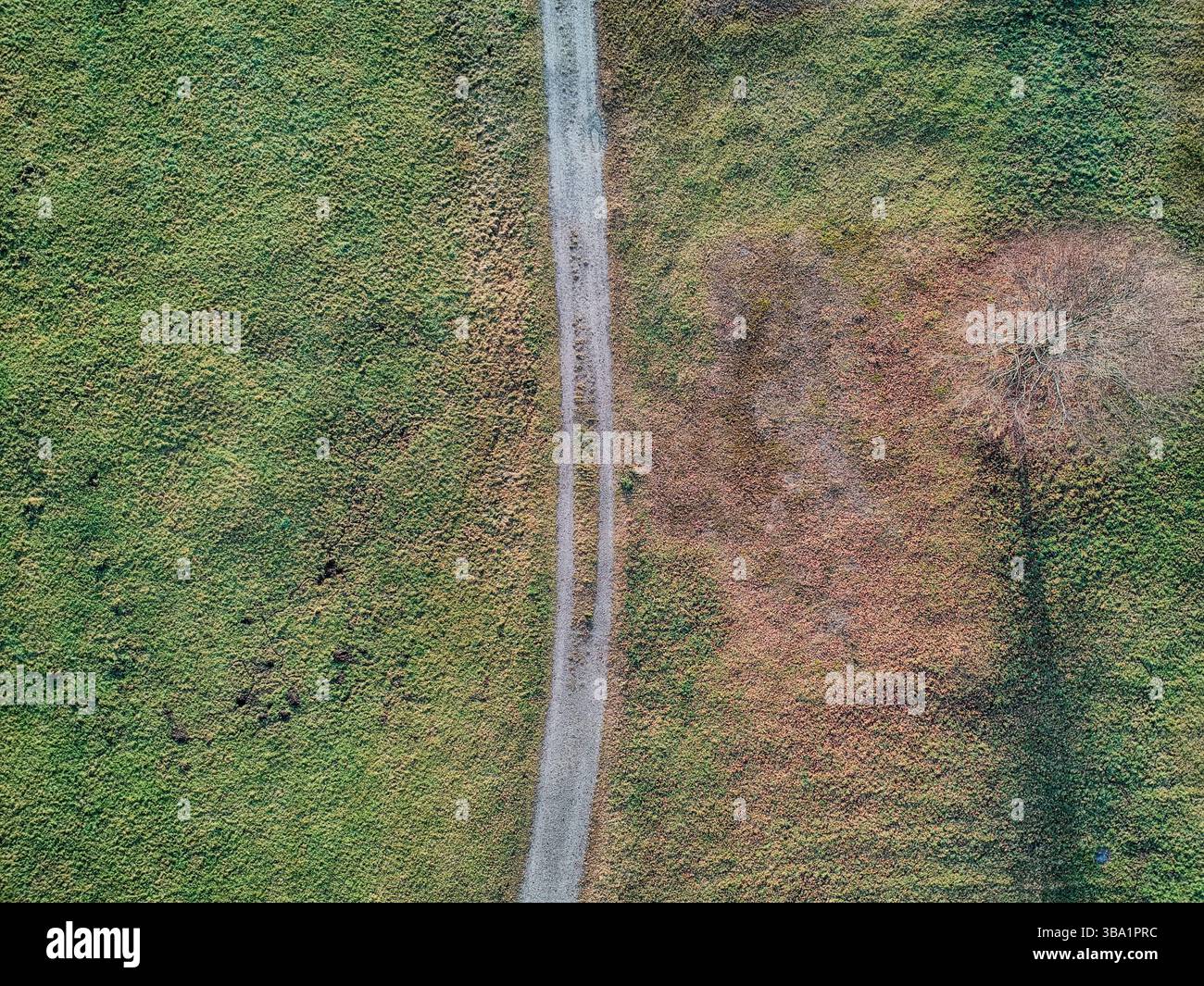 La route coupe un champ d'herbe Banque D'Images