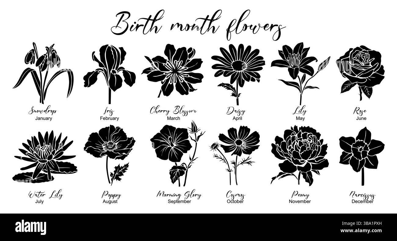 Silhouettes florales noires de fleurs du mois de naissance Illustration de Vecteur