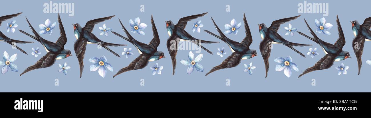 Avale les oiseaux ressort élégante bordure sans couture. Bannière de bordure graphique à l'aquarelle vintage dessinée à la main. Parfait pour le papier d'emballage rétro, saisonnier Banque D'Images