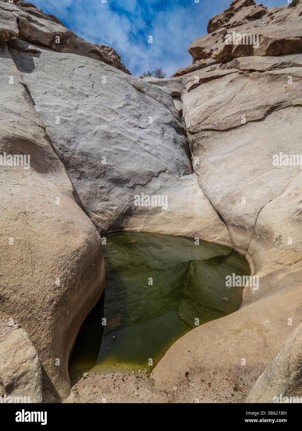 tinaja, tinajas Altas Mountains, Barry M. Goldwater Range, Yuma, Arizona. Banque D'Images