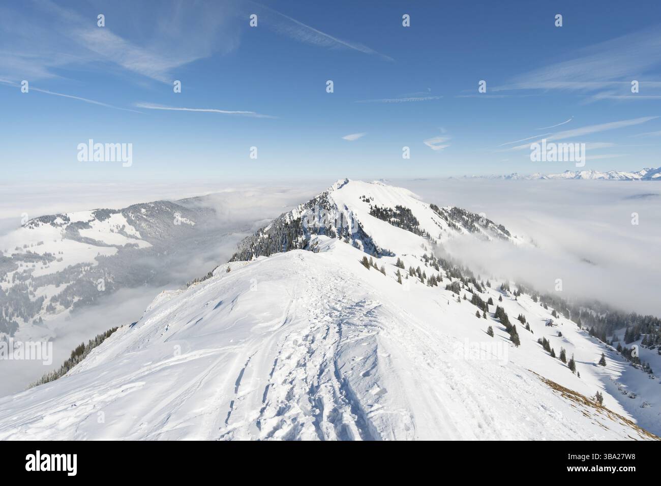 Fantastique circuit en raquettes sur la Hochgrat à Nagelfluhkette à Allgau, en Bavière Banque D'Images