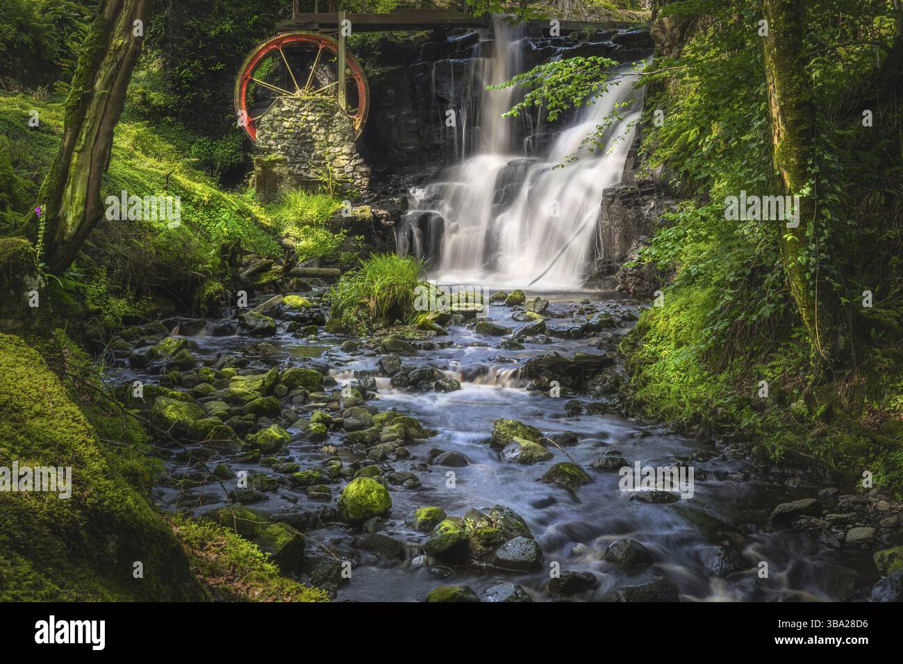 Cours d'eau menant à la roue d'eau rouge et à la chute d'eau dans le parc forestier de Glenariff, comté d'Antrim, Irlande du Nord. Exposition longue durée et mise au point douce Banque D'Images