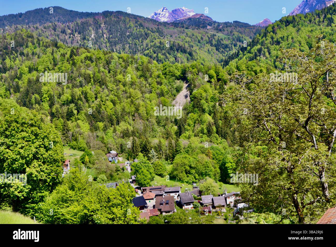 Chalets à flanc de montagne dans les montagnes au-dessous de Villars-sur-Ollon en Suisse, mai 2025 Banque D'Images