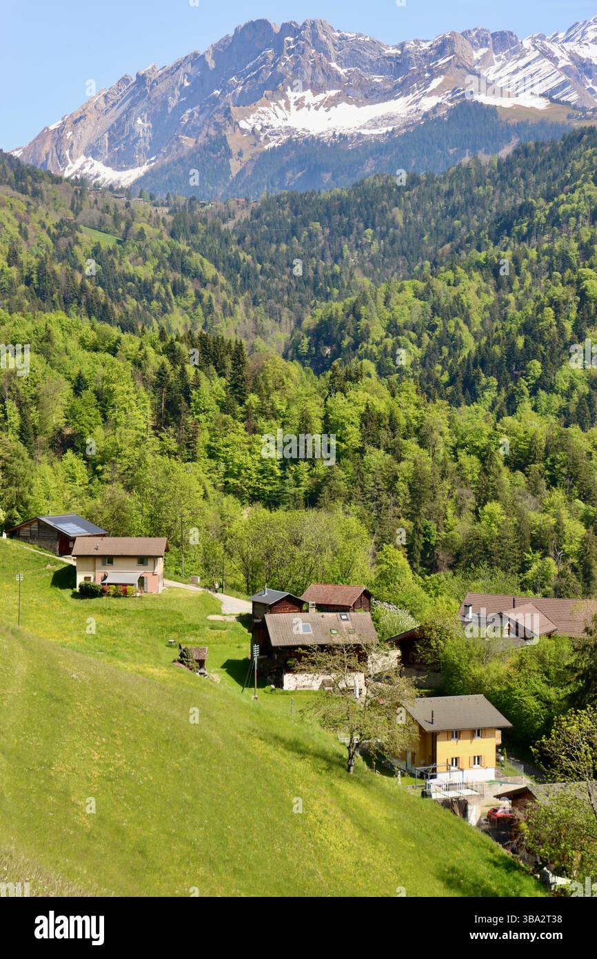 Chalets à flanc de montagne dans les montagnes au-dessous de Villars-sur-Ollon en Suisse, mai 2025 Banque D'Images