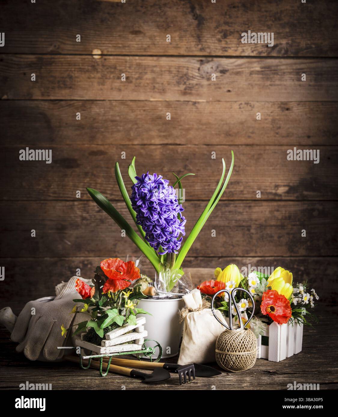 Outils de jardin pour les fleurs sur fond de bois Banque D'Images