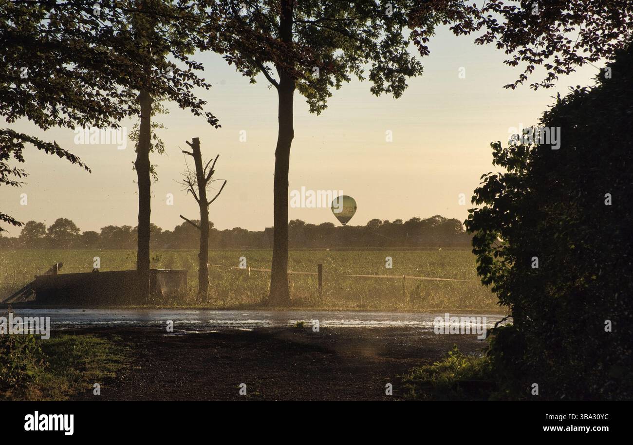 Silhouette d'irrigation agricole arrosage système de blé au coucher du soleil. L'irrigation en utilisant le champ de système de gicleurs à pivot central. Amsterdam, Th Banque D'Images