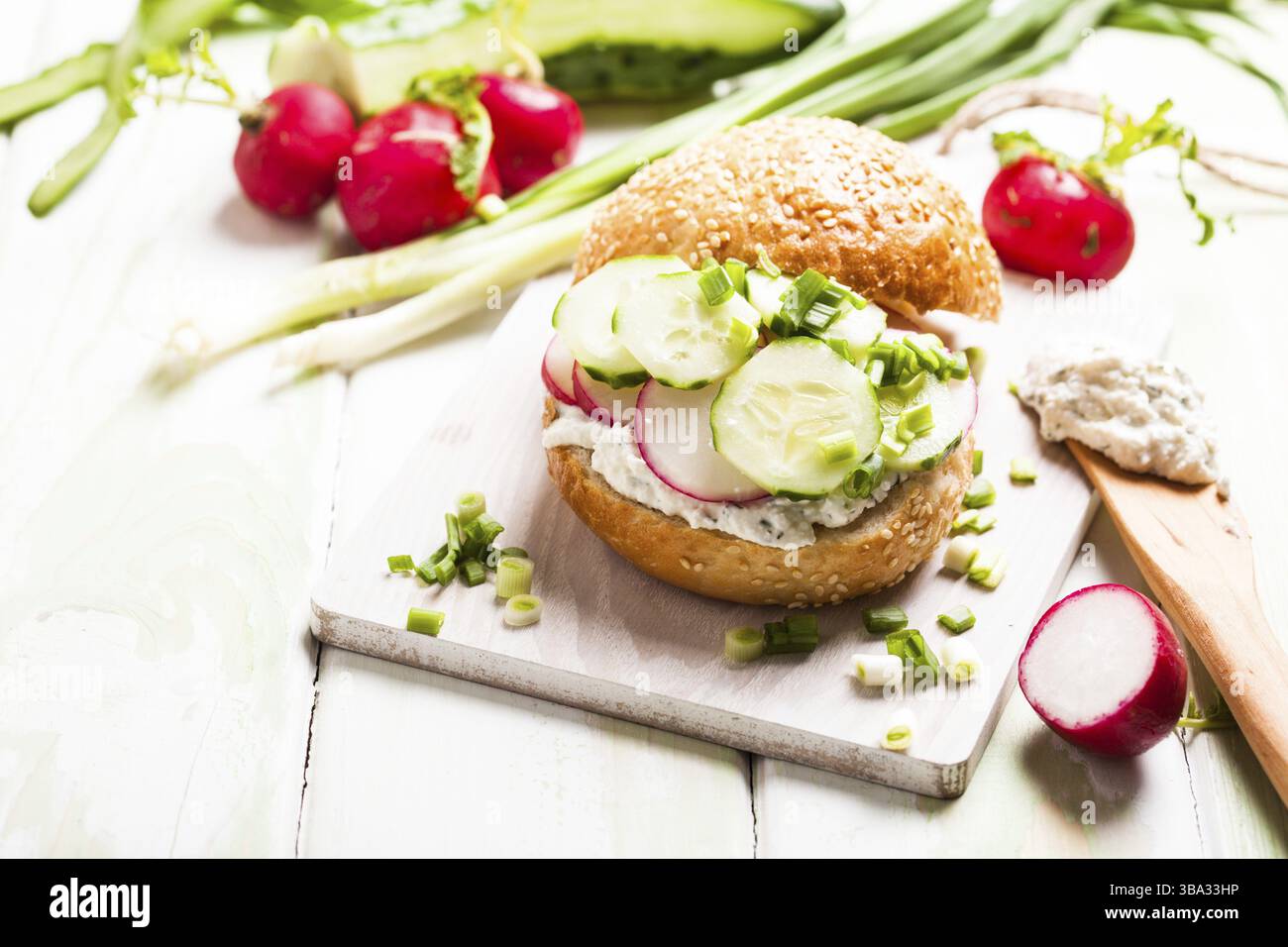 Sandwich au fromage à la crème frais, au radis et au concombre Banque D'Images Sandwich au fromage à la crème frais, au radis et au concombre Banque D'Images