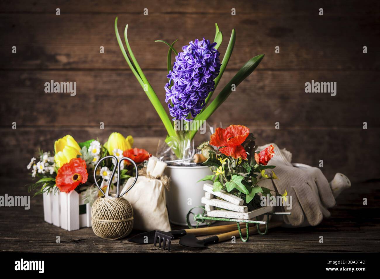 Outils de jardin pour les fleurs sur fond de bois Banque D'Images