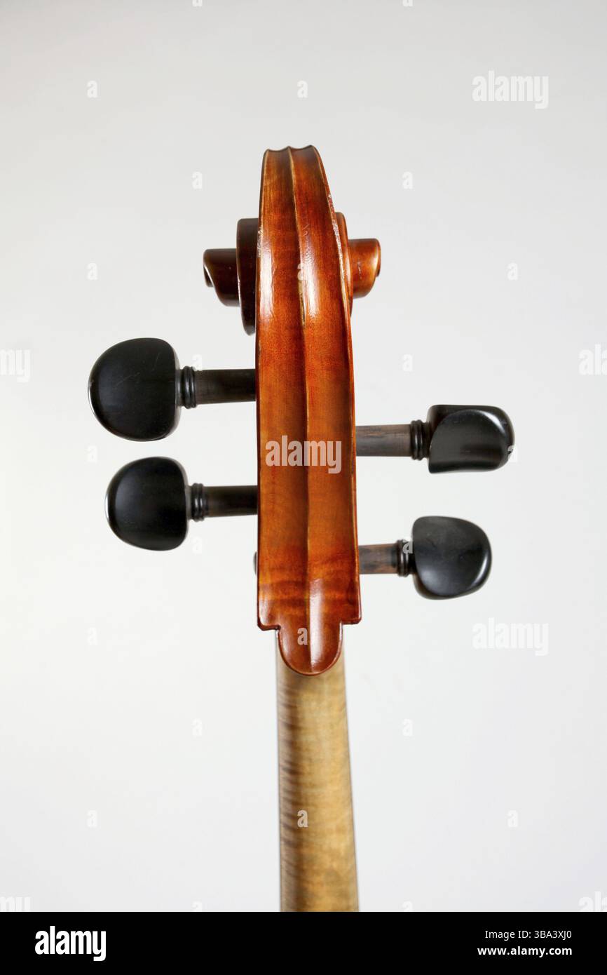 Vieille contrebasse chef isolé sur fond blanc Banque D'Images