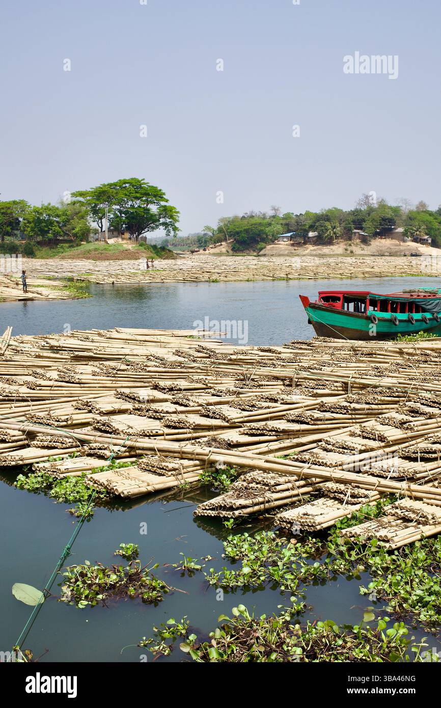 Des paquets de bambou attachés dans des radeaux flottent sur le lac Kaptai, prêts à être transportés en aval dans le cadre du commerce intérieur de bambou du Bangladesh. Banque D'Images