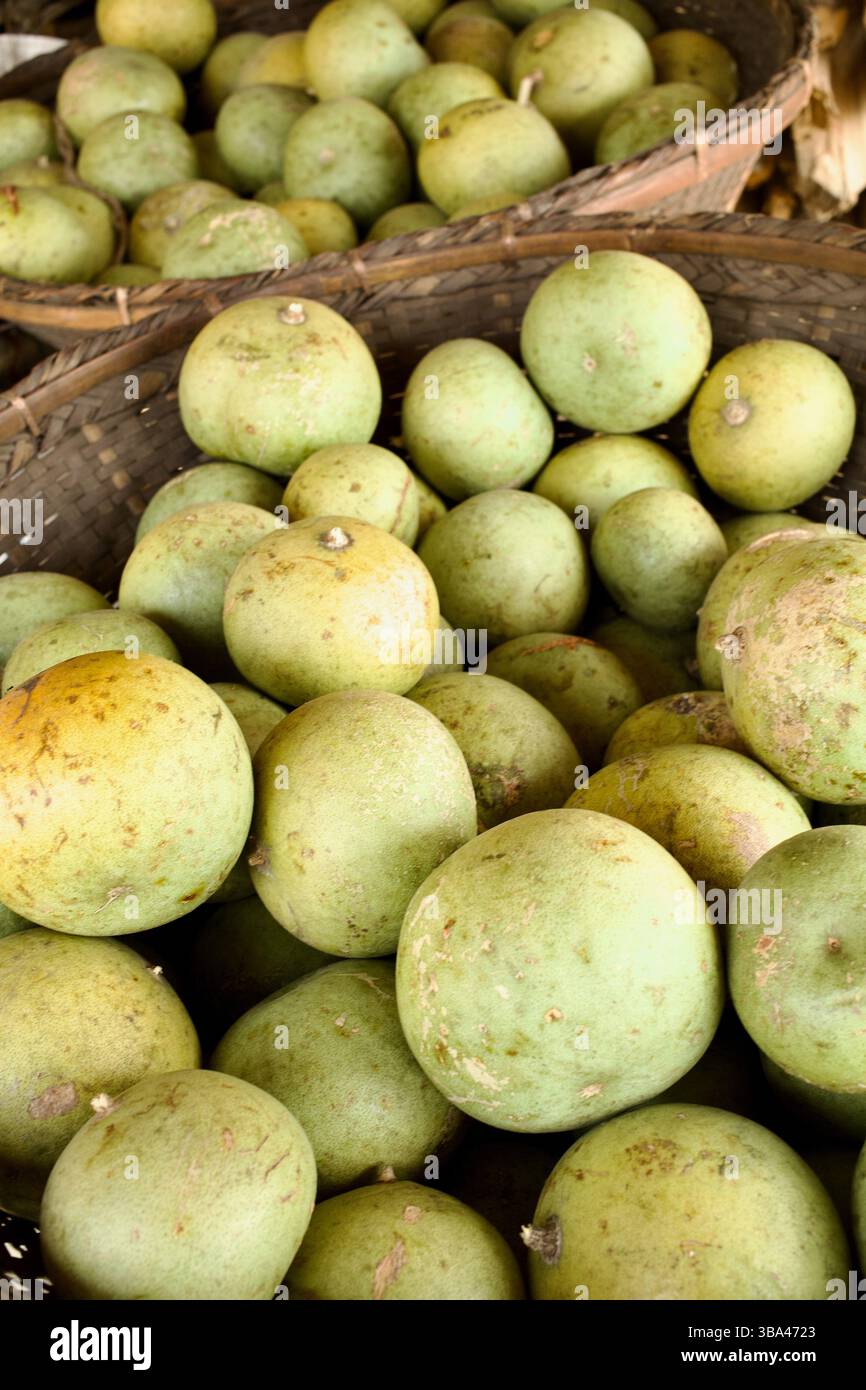 Pommes en bois exposées dans un panier tissé sur un marché local de Bandarban, au Bangladesh, connu pour leurs coquilles dures et leur pulpe aromatique utilisée dans les boissons. Banque D'Images