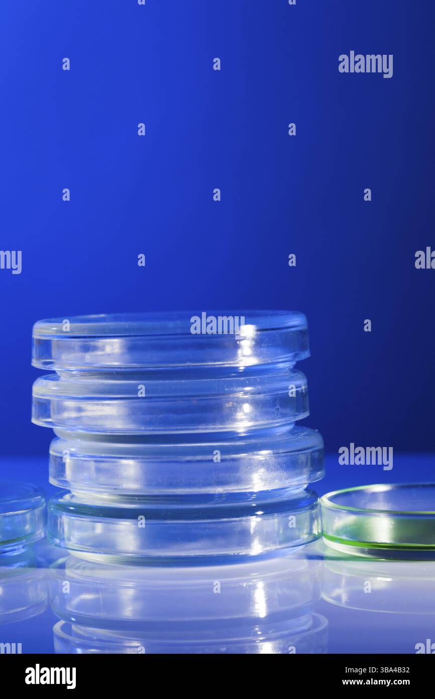 Pétri dans la lumière bleue de laboratoire close up Banque D'Images