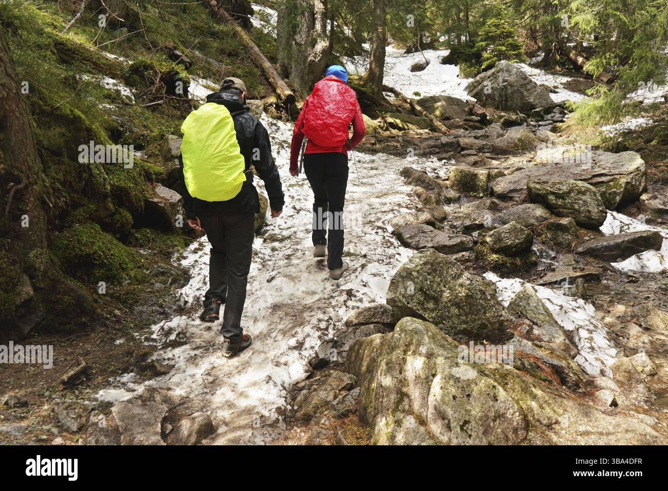 Deux randonneurs portant une veste recouverte de imperméable, marchant dans la forêt, pierres couvertes de neige et racines au sol, arbres en arrière-plan, vue de derrière Banque D'Images
