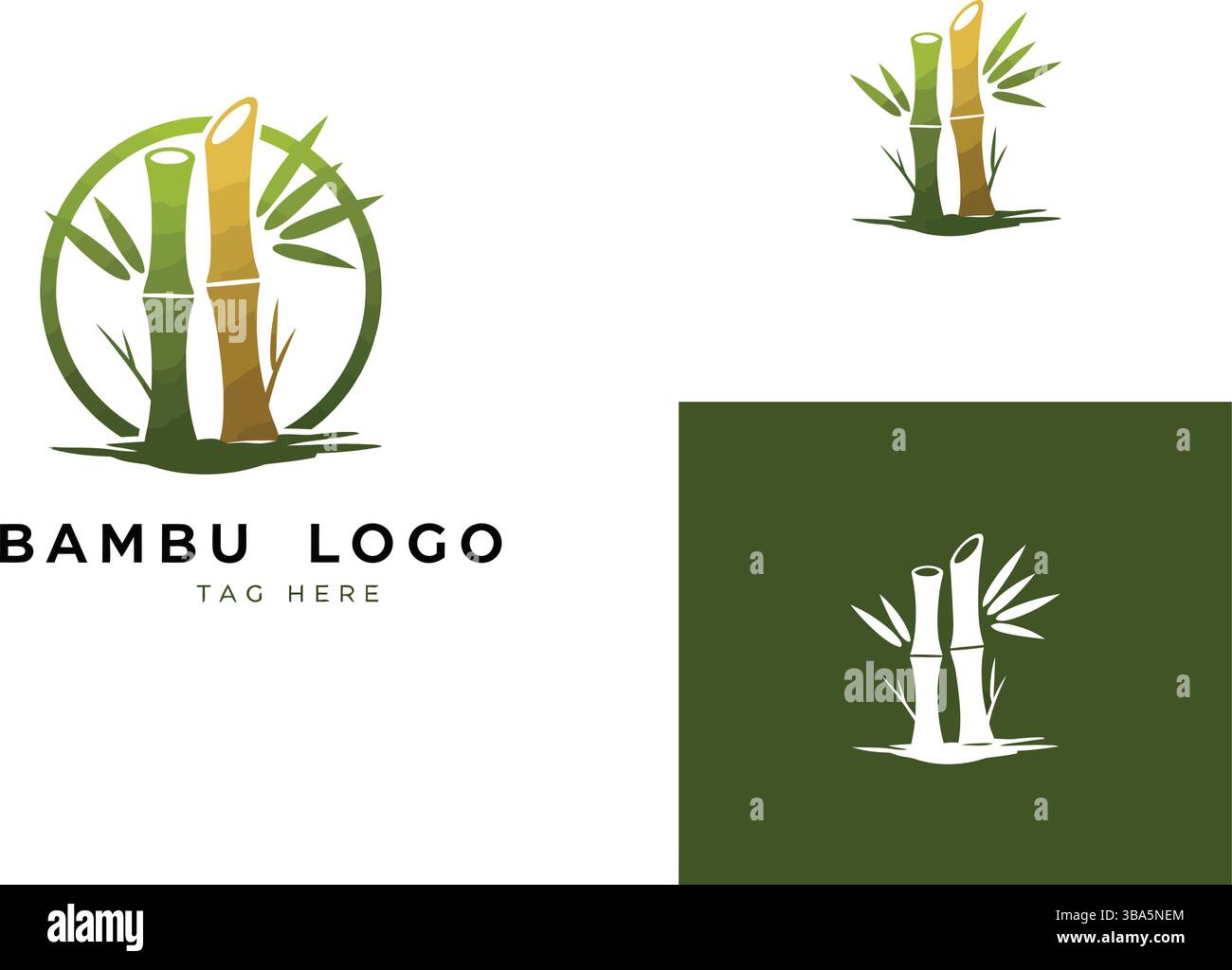 Bamboo logo Design : concept de marque écologique Illustration de Vecteur