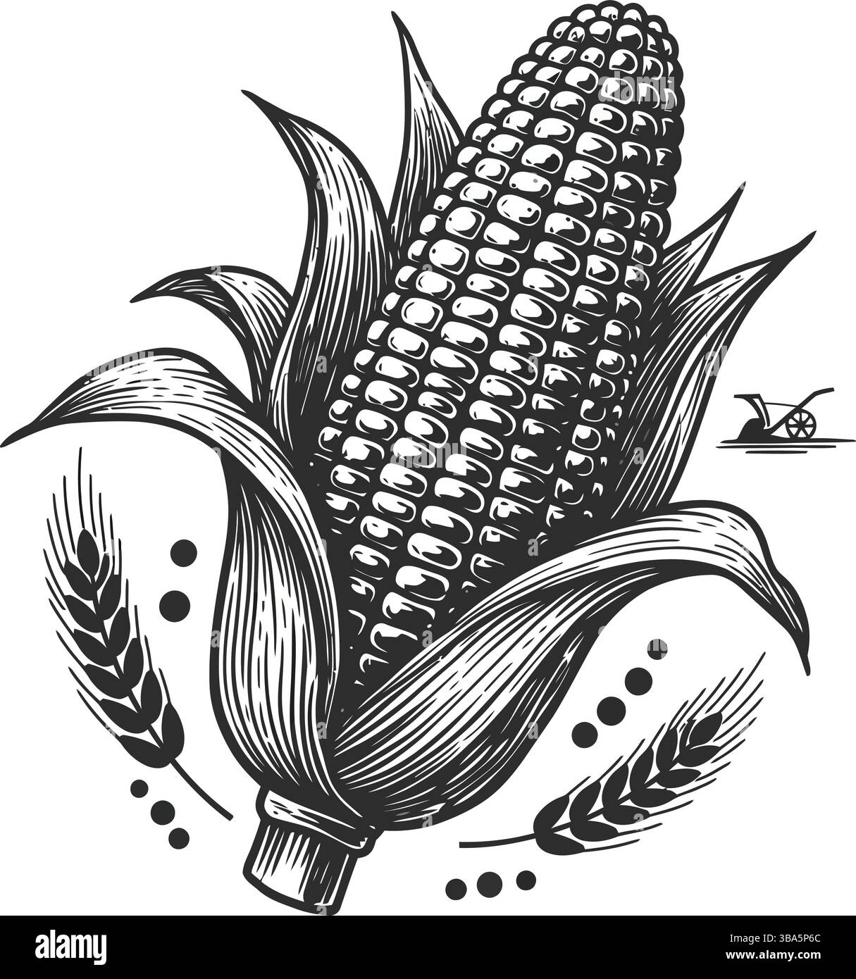 Illustration détaillée du maïs et du blé avec des éléments agricoles Illustration de Vecteur