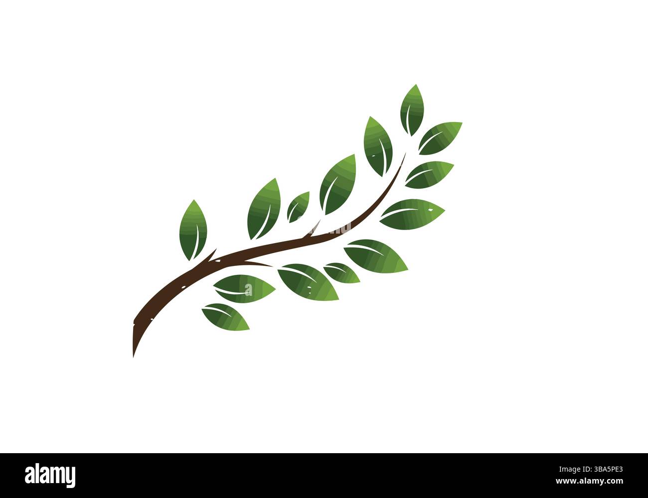 Illustration de branche d'arbre vert luxuriant Illustration de Vecteur