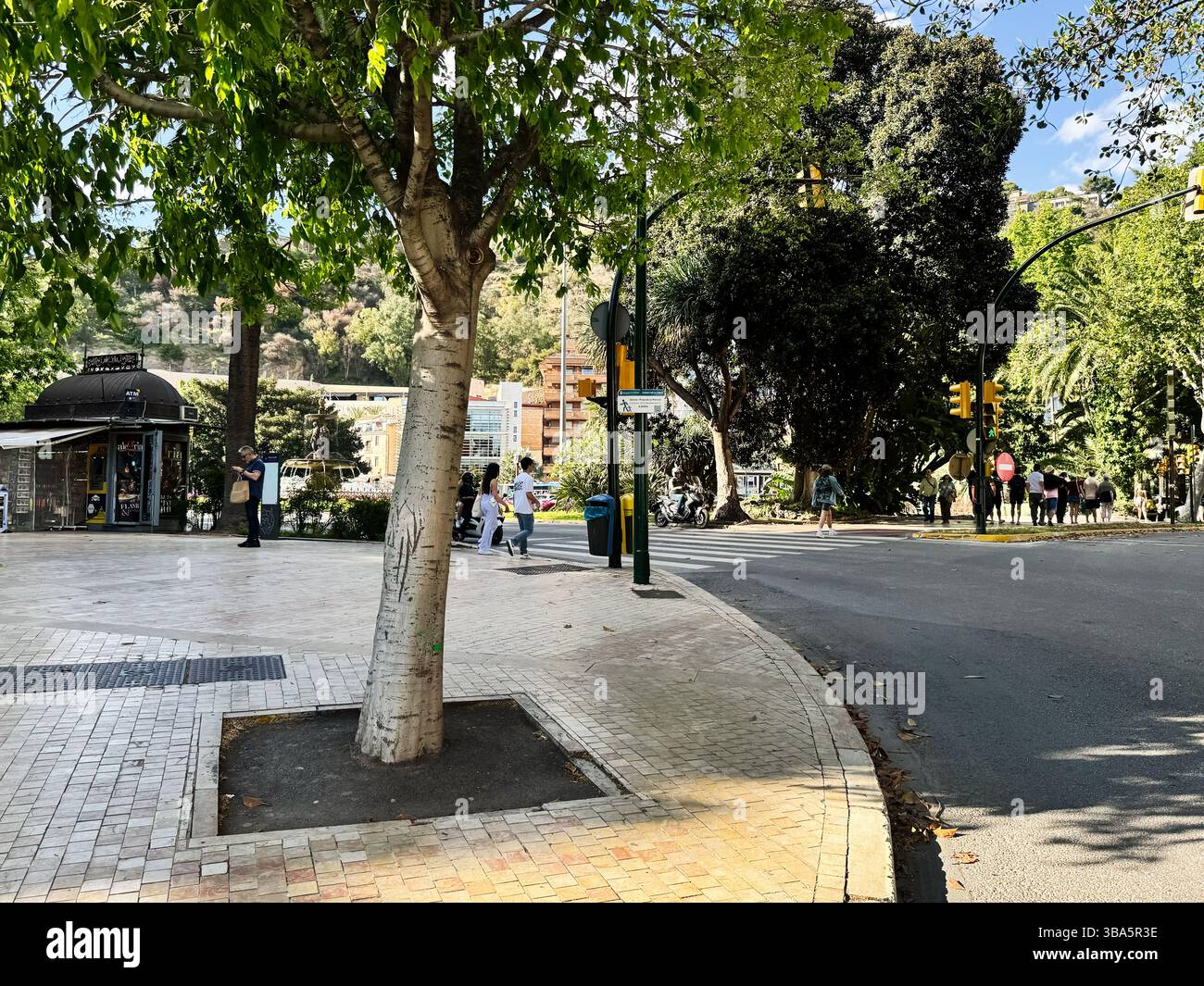 Malaga, Espagne - 02 mai 2025 : une intersection urbaine animée avec des arbres et des piétons à Malaga, Espagne Banque D'Images