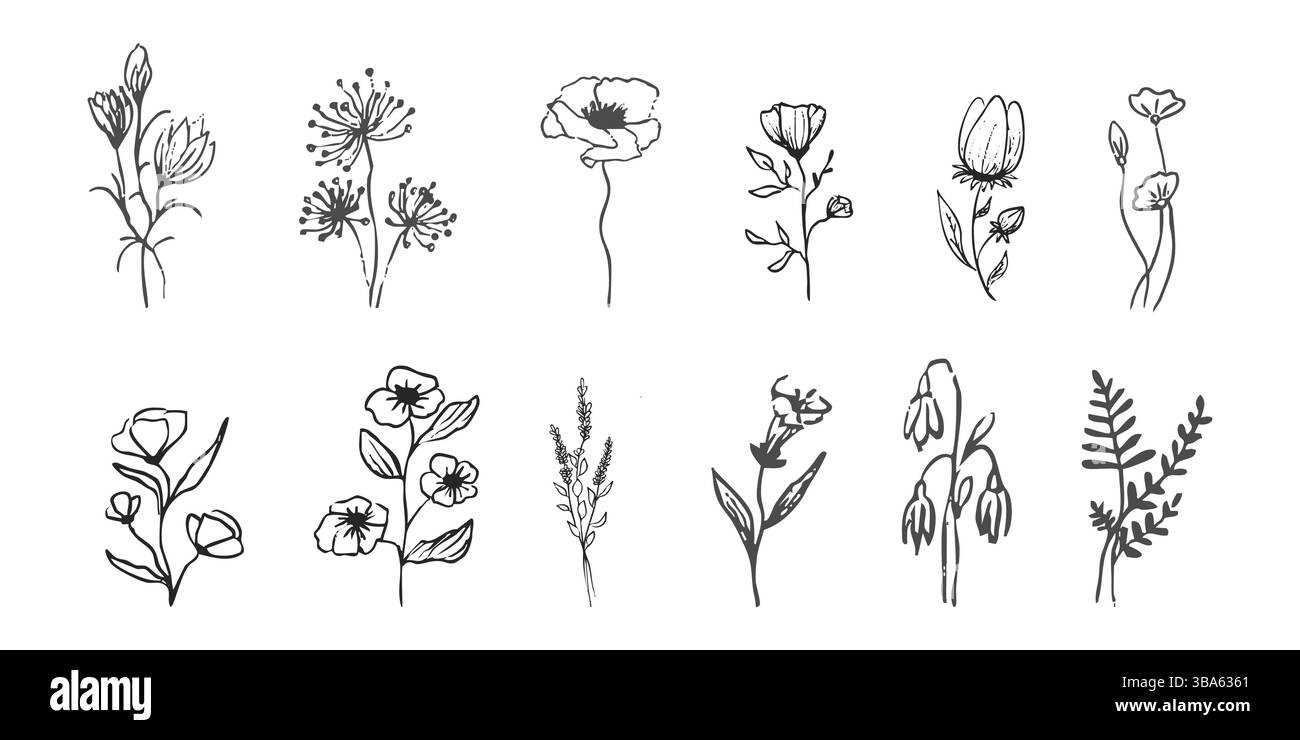 Herbes sauvages de la forêt et fleurs vintage texturé dessin à la craie. Silhouette de flore rétro de ligne d'herbe. Crayon doodle dessiné à la main. Illustration vectorielle Illustration de Vecteur