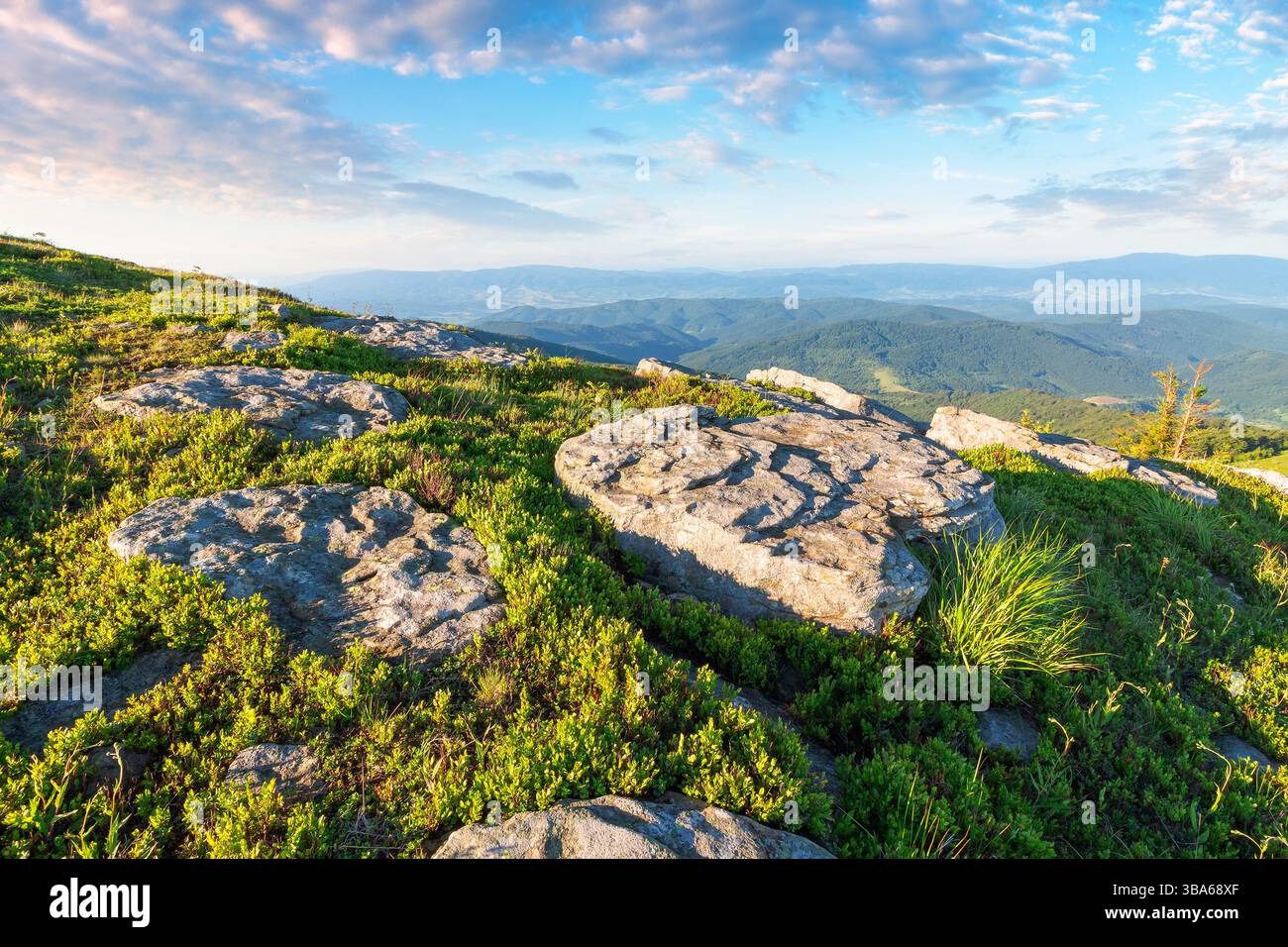 vue panoramique sur le paysage alpin en été. environnement naturel paisible avec prairie verte et roche pour voyager. randonnée à travers les merveilleuses alpes des carpates Banque D'Images