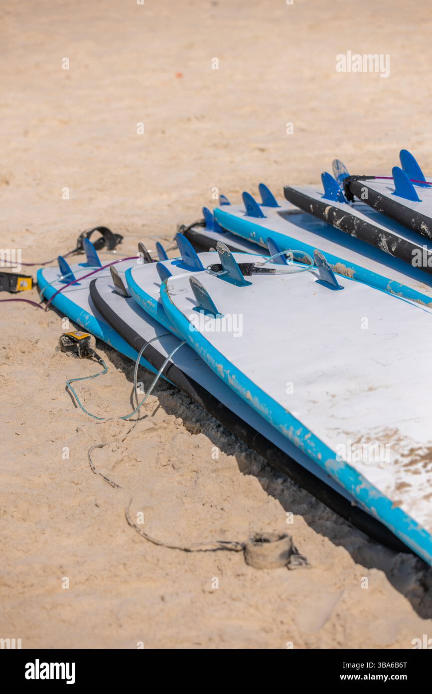 Planches de surf empilées dans le sable avant la leçon de surf Banque D'Images