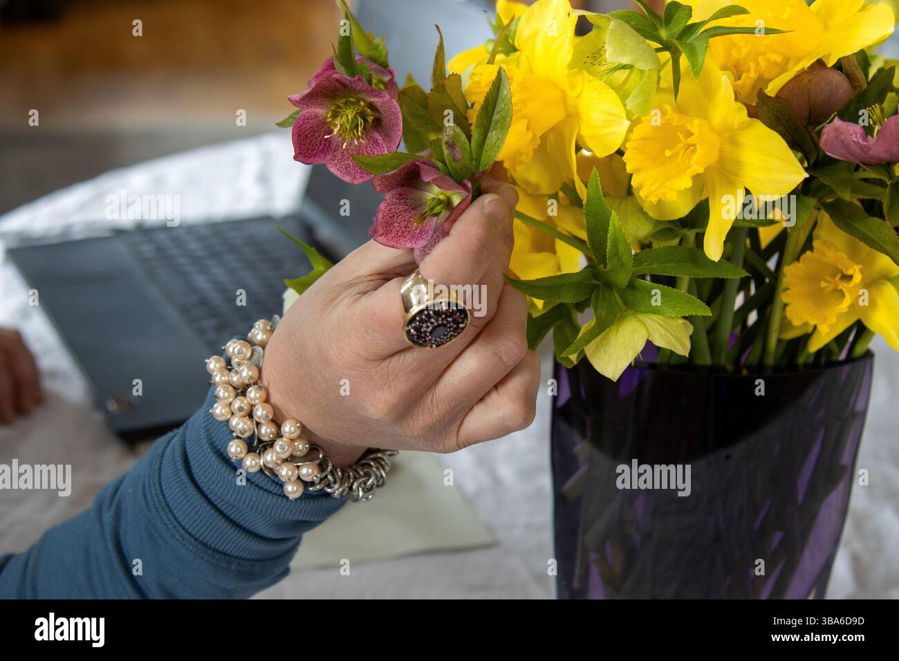 Pause pour admirer un arrangement printanier Banque D'Images