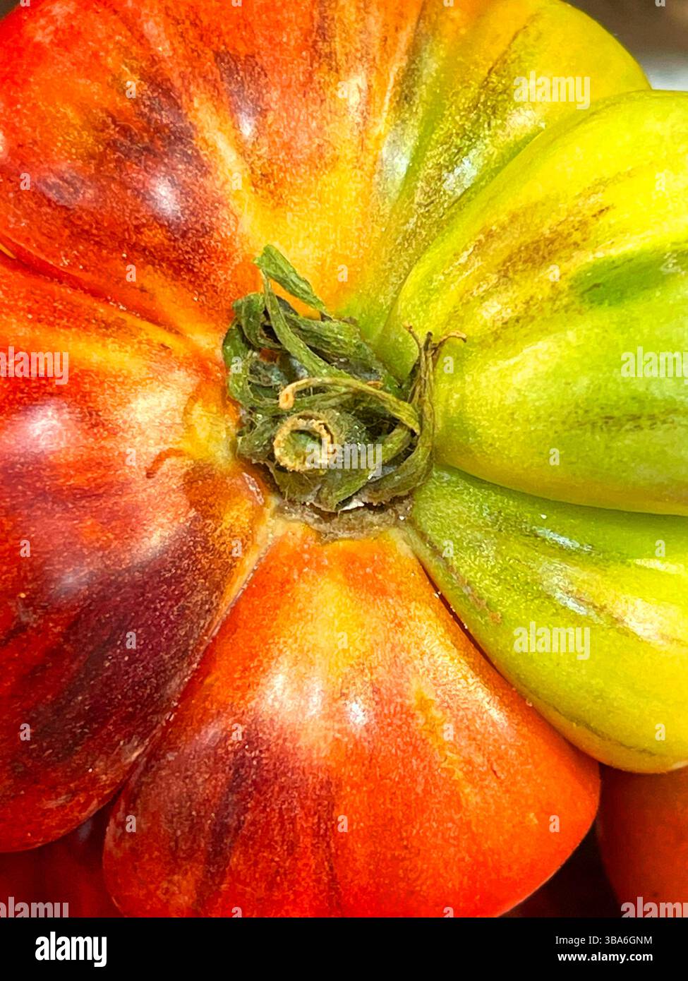 Tomate, vue rapprochée. - Image de stock capturée avec un smartphone