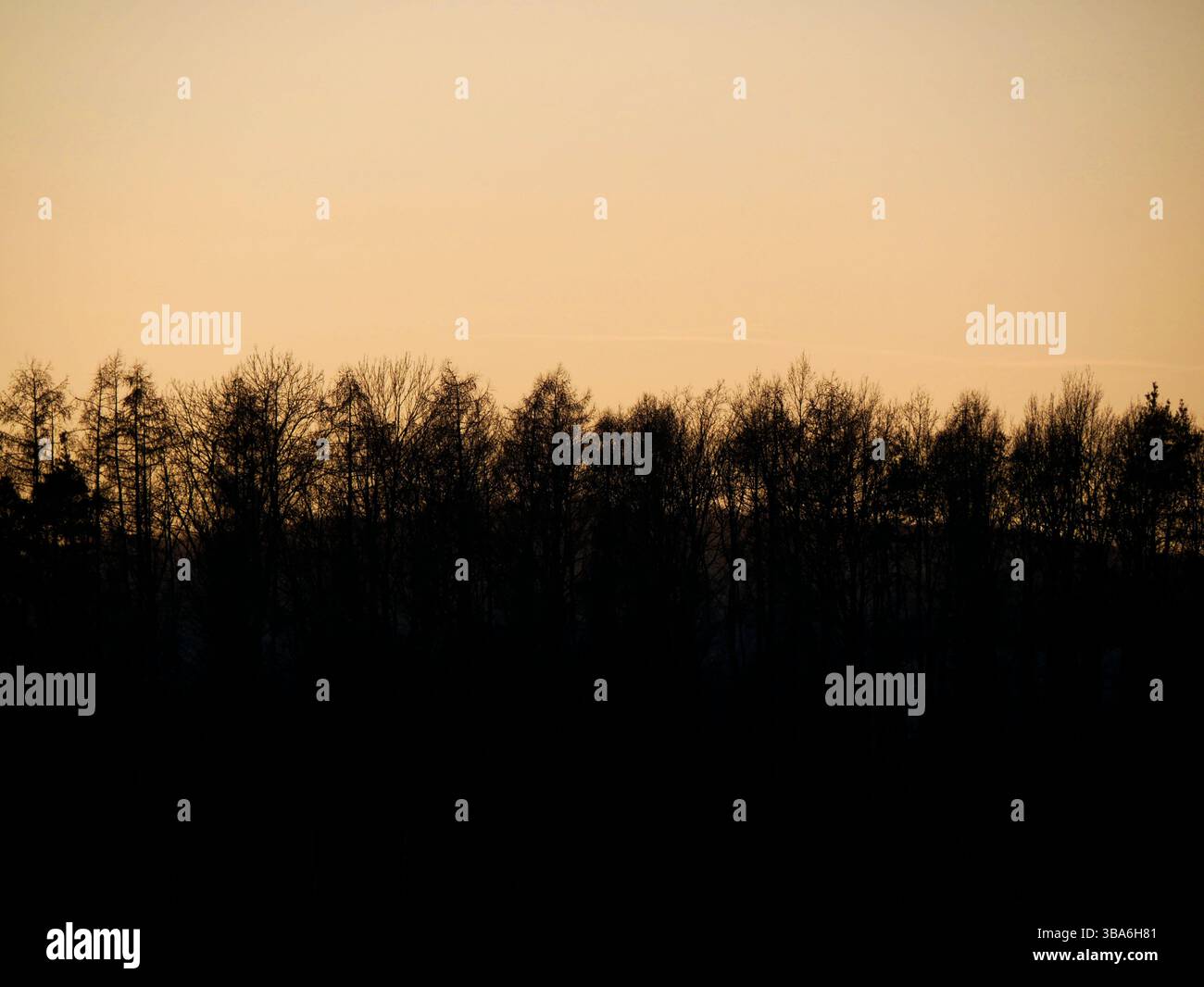 Vue sur un coucher de soleil avec un horizon boisé, le soleil disparaissant derrière les branches, projetant des rayons rouges à travers les arbres et créant une belle scène. Banque D'Images