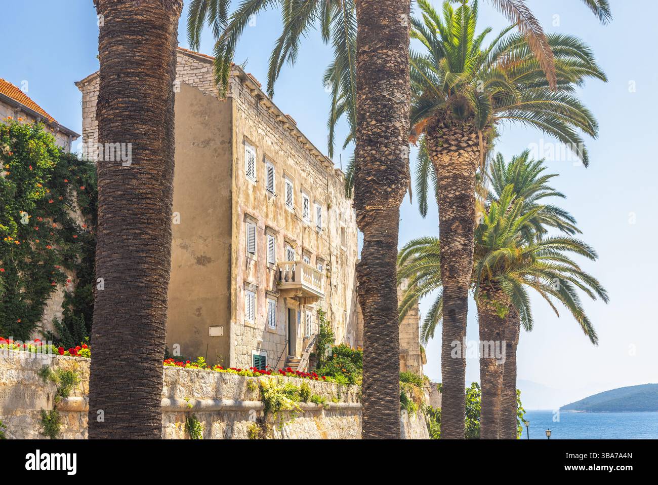Korcula ville dans l'île de Korcula dans la mer Adriatique en Croatie, Europe. Bâtiment pittoresque dans un endroit ensoleillé et côtier, avec des palmiers ajoutant une touche de Banque D'Images