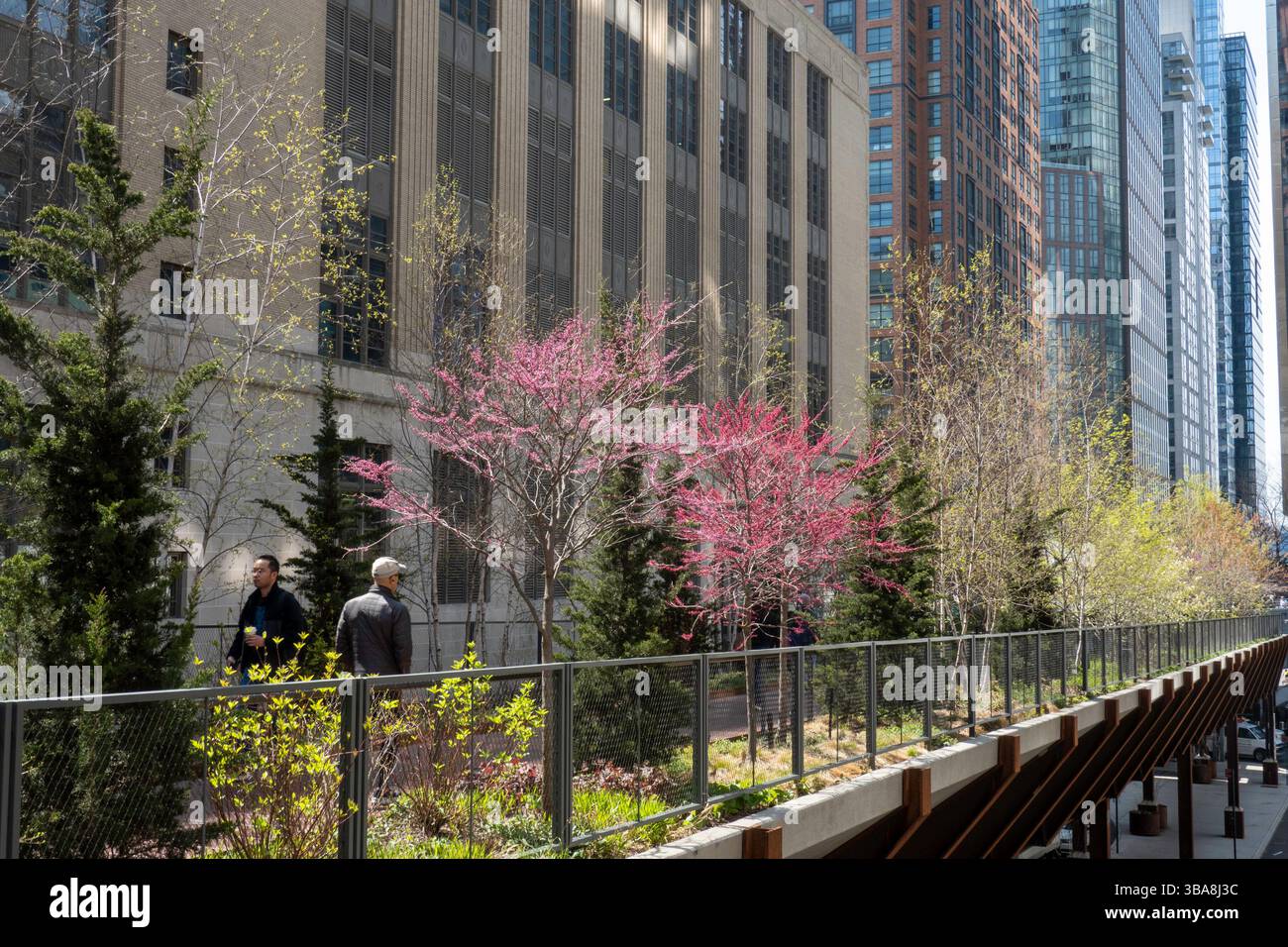 L'embranchement est une passerelle qui relie la Highline à la salle de train Moynihan, 2025, New York City, États-Unis Banque D'Images