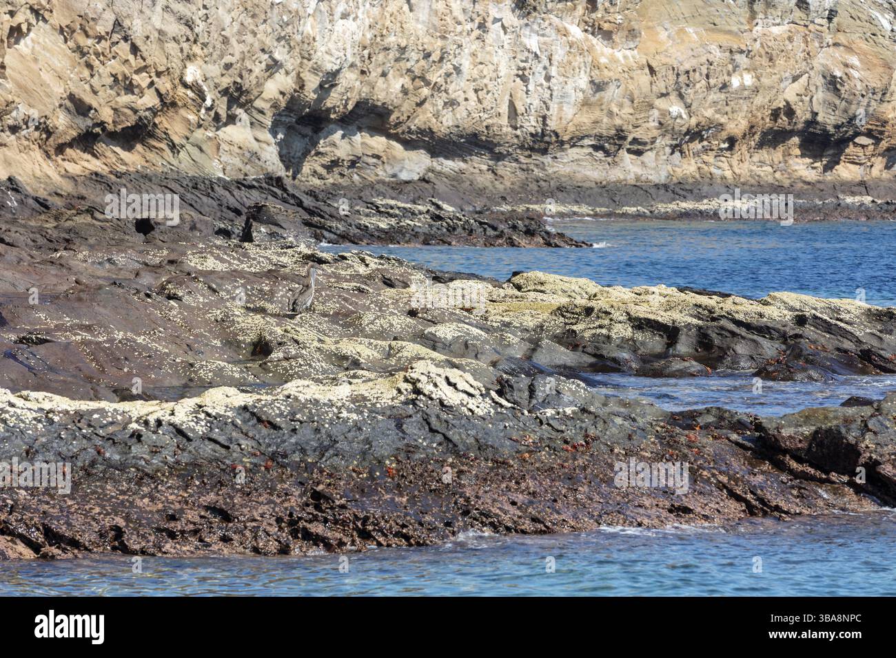 Excursion en bateau à l'île de Bartolome, Galapagos, Équateur, Amérique du Sud Banque D'Images