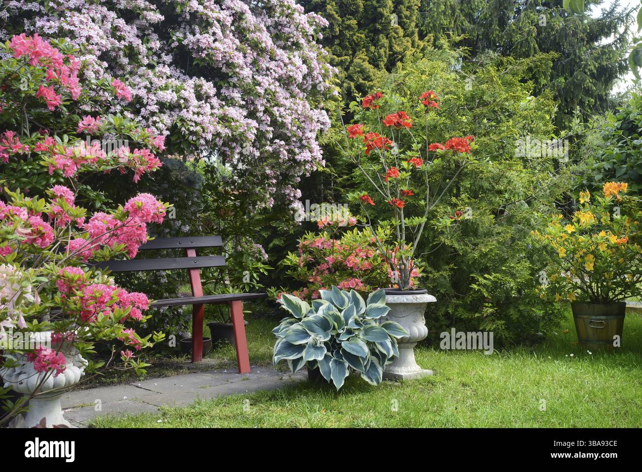 Idylle de jardin Banque D'Images