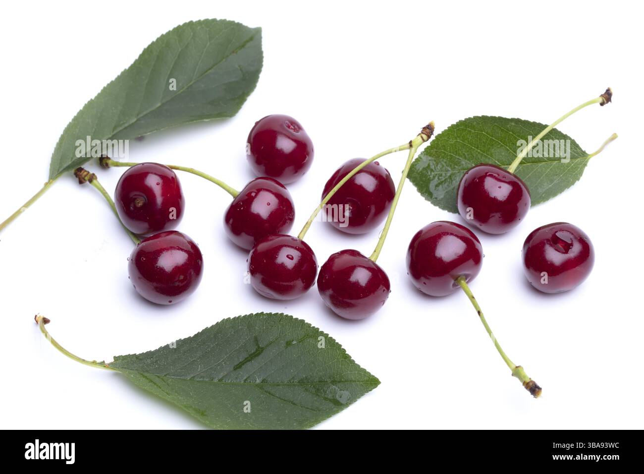 Baies de cerise avec des feuilles vertes et des brindilles. Belles baies rouges d'été Banque D'Images
