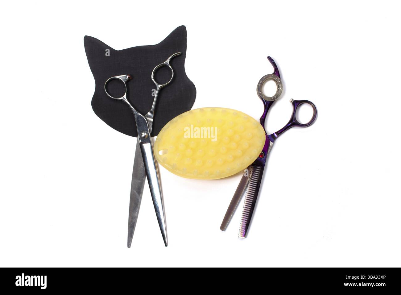 Ensemble de différents peignes et brosses pour le toilettage des animaux de compagnie sur un fond blanc avec réflexion d'ombre. Figurine de chat créative fabriquée à partir d'outils de toilettage Banque D'Images
