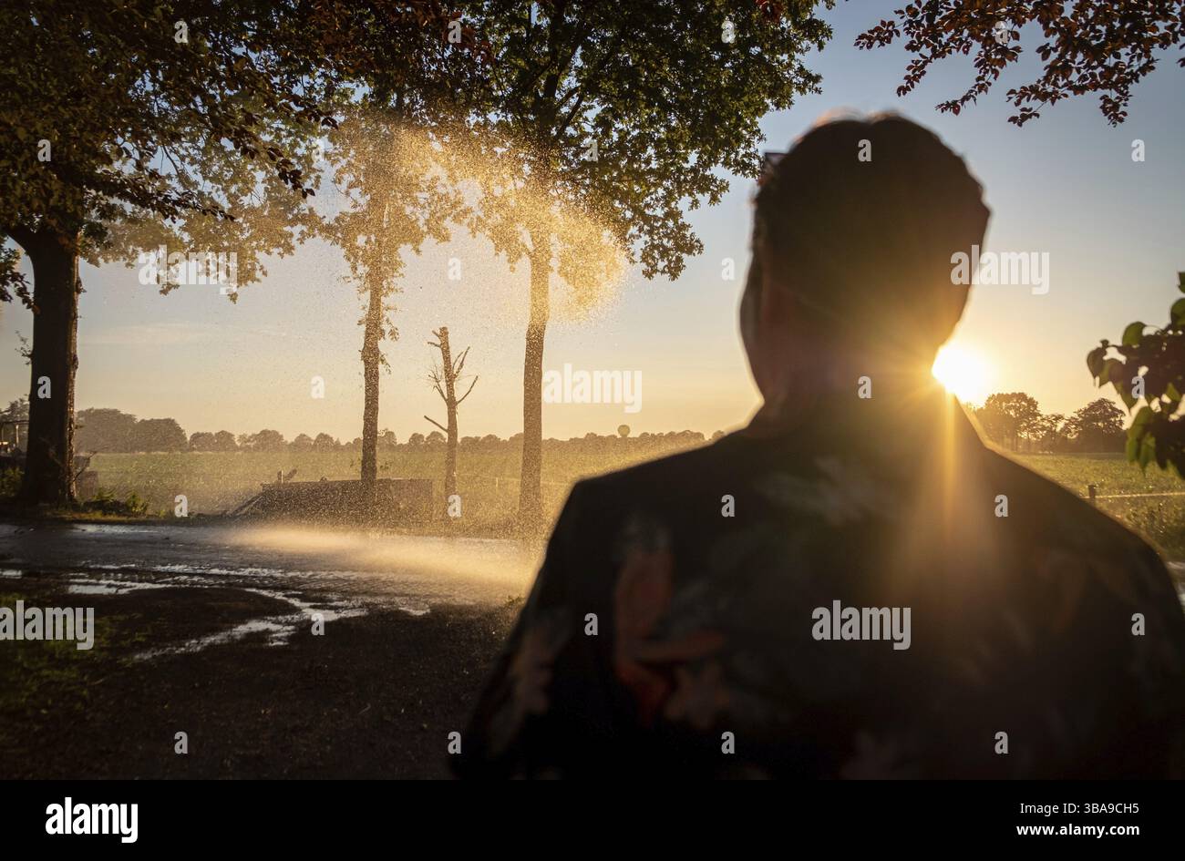 Silhouette d'irrigation agricole arrosage système de blé au coucher du soleil. L'irrigation en utilisant le champ de système de gicleurs à pivot central. Amsterdam, Th Banque D'Images
