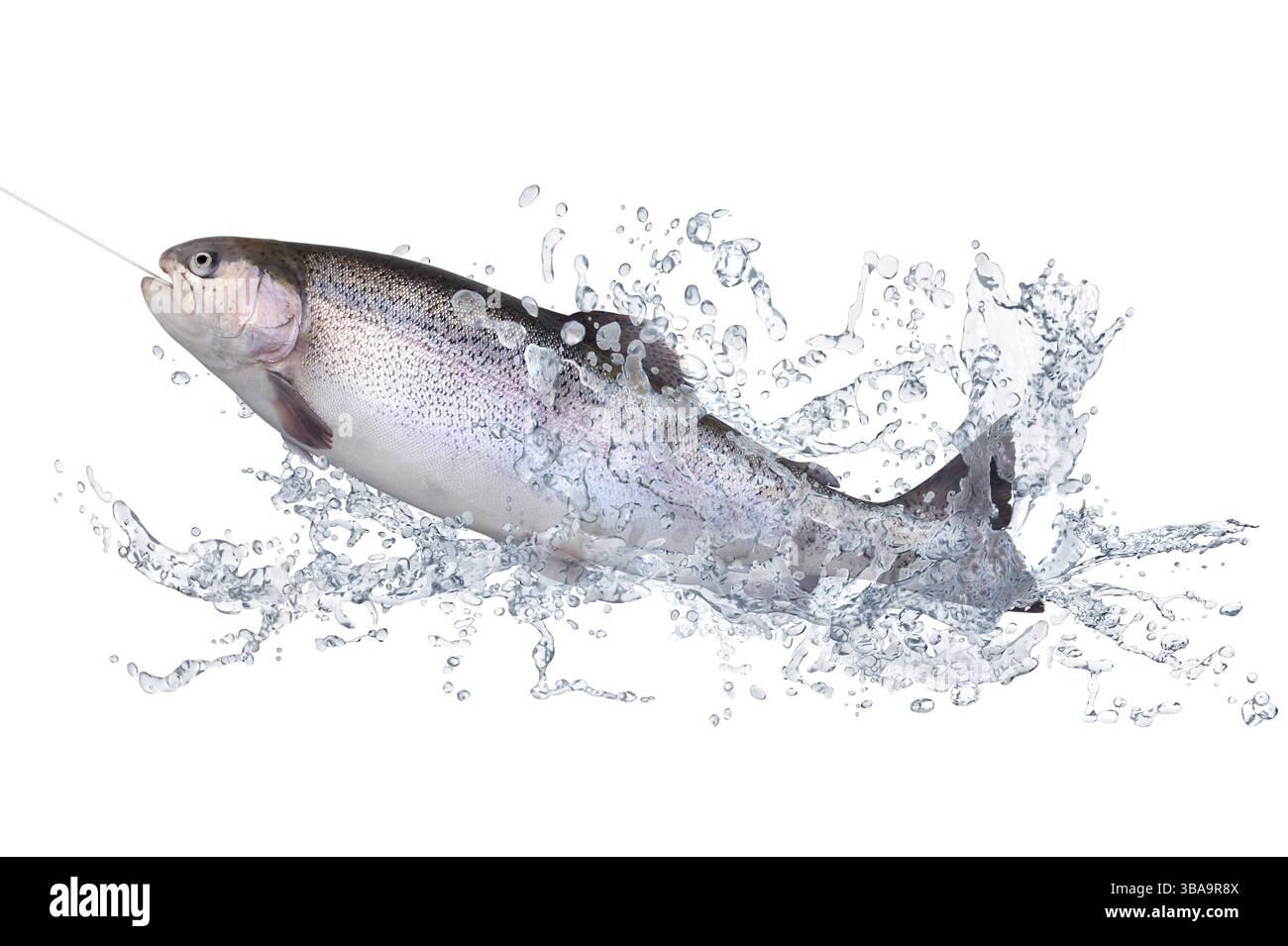 Poissons 123 Banque D'Images