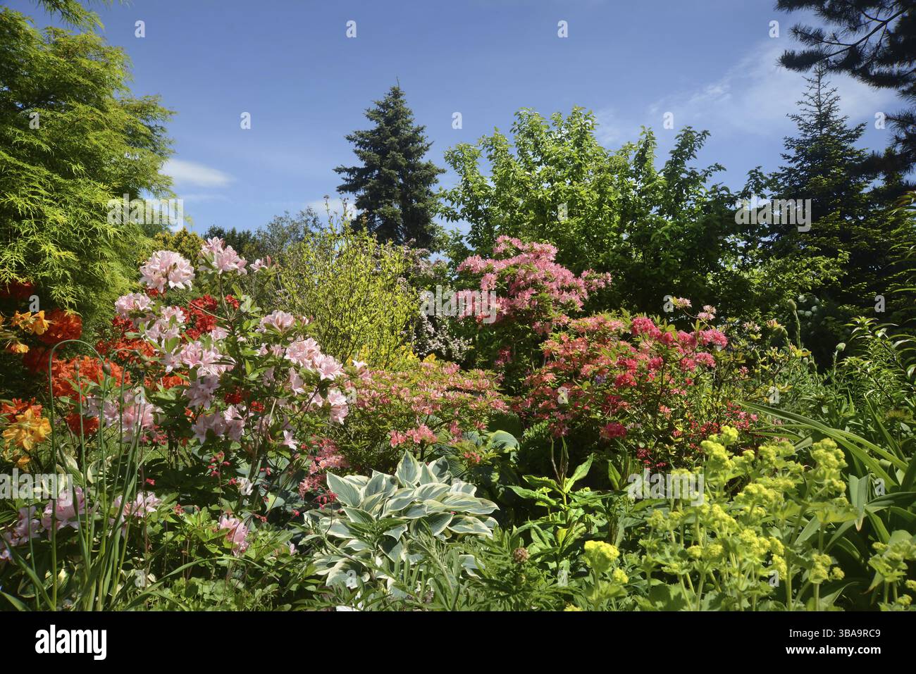 Paysage de jardin Banque D'Images