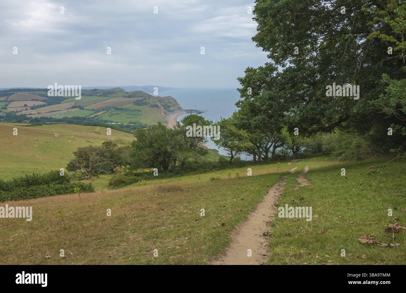Champs verts sur une colline avec la mer Manche et la campagne anglaise en arrière-plan. Golden Cap sur la côte jurassique à Dorset, Royaume-Uni. Photo avec Banque D'Images