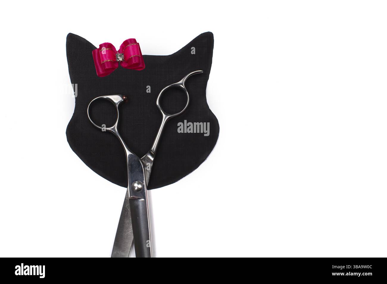 Ensemble de différents peignes et brosses pour le toilettage des animaux de compagnie sur un fond blanc avec réflexion d'ombre. Figurine de chat créative fabriquée à partir d'outils de toilettage Banque D'Images