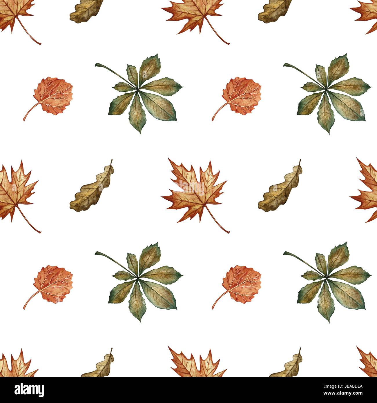 Modèle sans couture avec différentes feuilles d'automne. Illustration d'aquarelle faite à la main. Image couleur. Idéal pour l'emballage, la décoration, les textiles et le papier peint, pour Banque D'Images