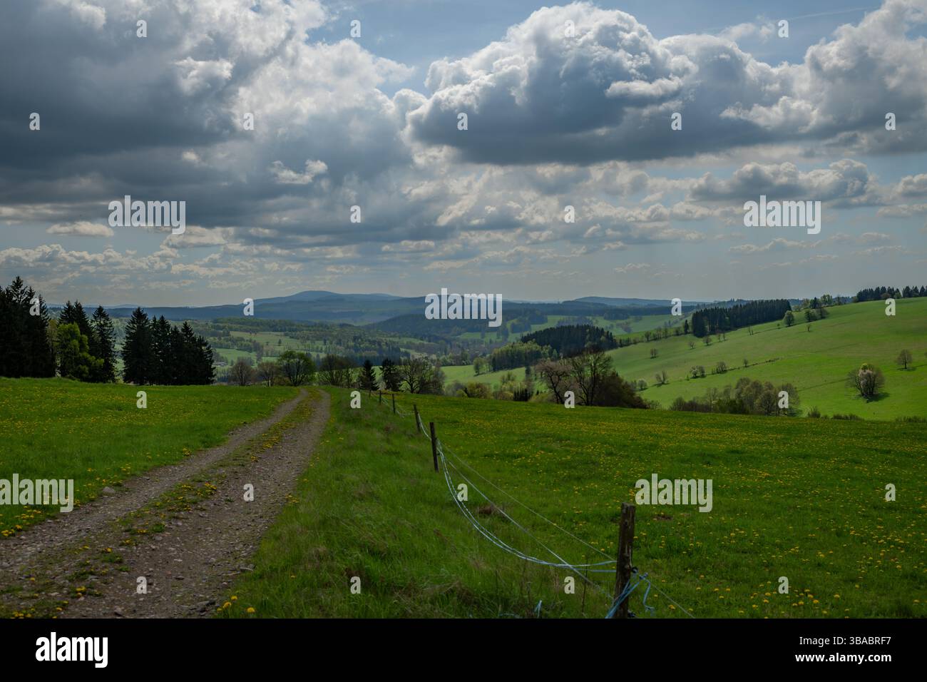 Vue de printemps couleur dans les montagnes d'Orlicke avec des forêts verdoyantes et fraîches et des prairies Banque D'Images
