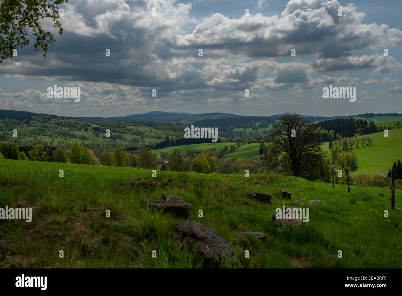 Vue de printemps couleur dans les montagnes d'Orlicke avec des forêts verdoyantes et fraîches et des prairies Banque D'Images