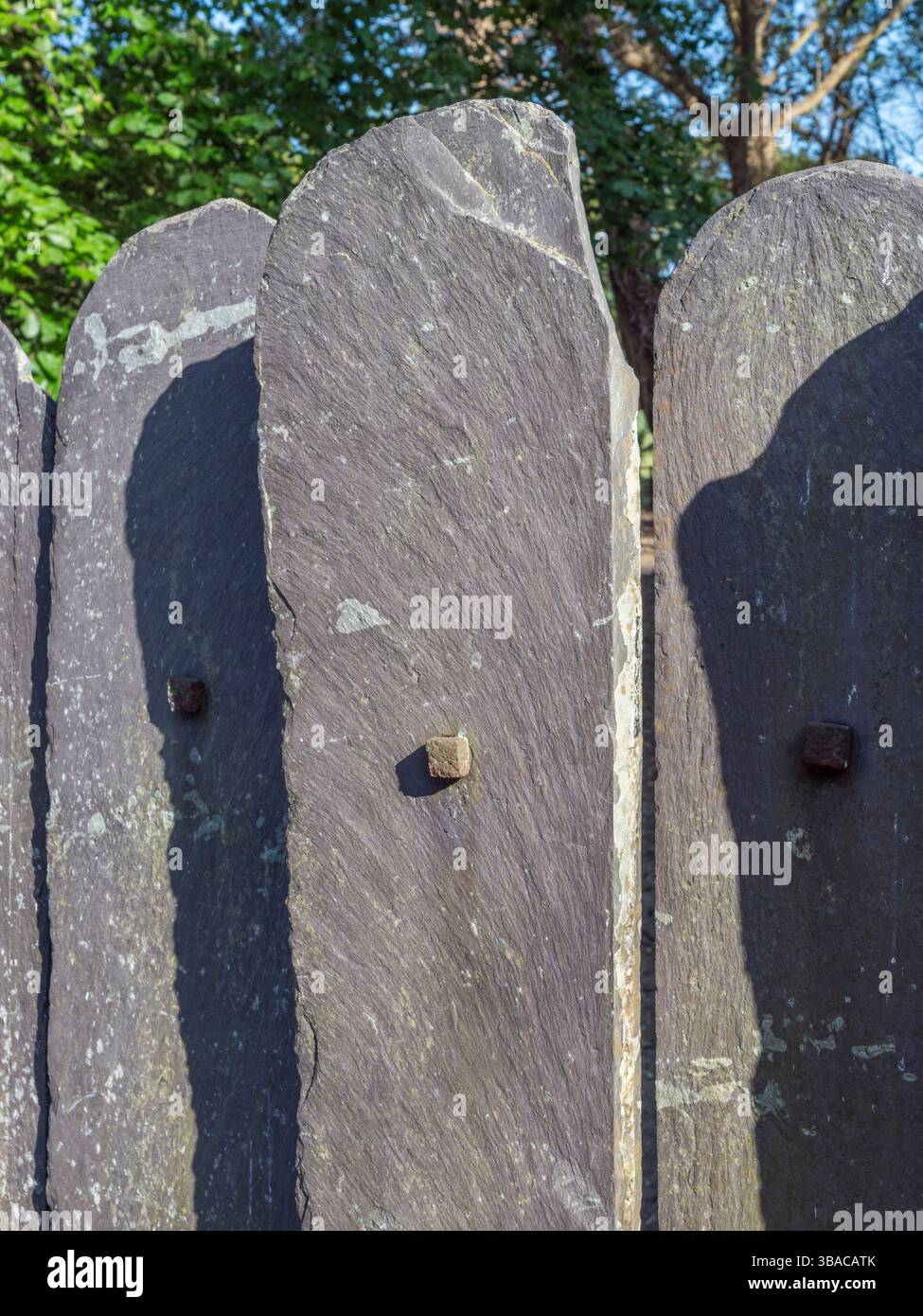Panneaux de clôture en ardoise inhabituels sur un chemin de la Tamise (Temple Lane) près de Temple Mill Island, près de Bisham, Royaume-Uni. Banque D'Images