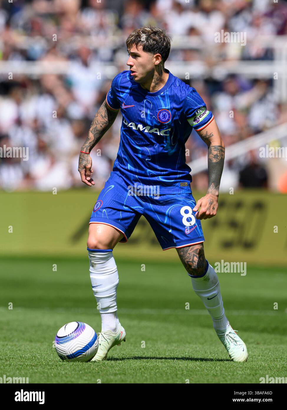 Newcastle, Royaume-Uni. 11 mai 2025. St James' Park Newcastle Angleterre, 2025 11 mai. Enzo Fernandez de Chelsea lors du match de premier League entre Newcastle United et Chelsea à St James' Park (David Horton/SPP) crédit : SPP Sport Press photo. /Alamy Live News Banque D'Images