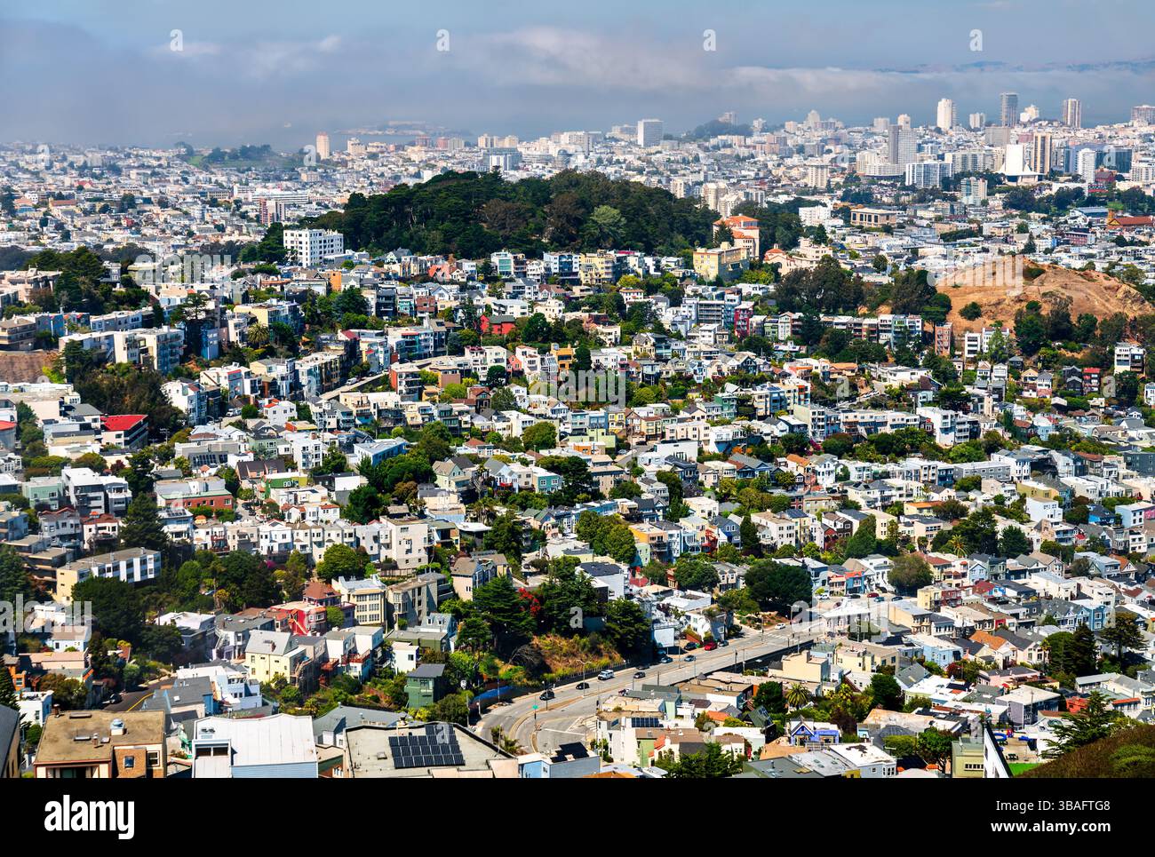 Les quartiers résidentiels densément peuplés de San Francisco vus d'en haut, montrant des maisons colorées sur des collines escarpées, Sutro Forest à mi-chemin, et une ligne d'horizon couverte de brouillard en arrière-plan par une journée d'été claire. Banque D'Images