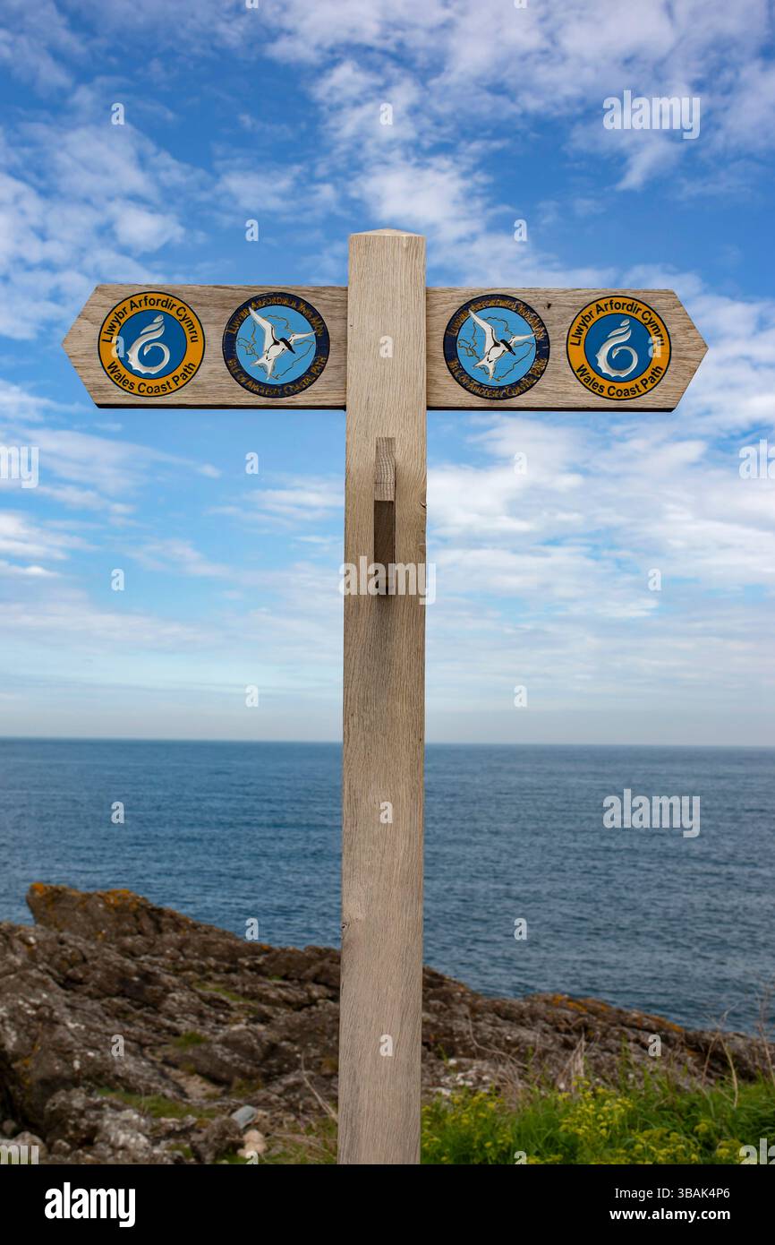 Sentier côtier du pays de Galles, sentier côtier de l'île d'Anglesey, panneau en bois avec la mer en arrière-plan. Pays de Galles, Cymru, marqueur d'itinéraire de marche. Banque D'Images